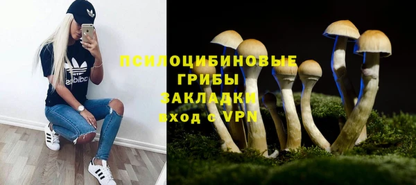 бутират Горнозаводск