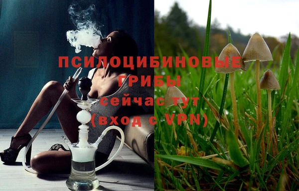 гидропоника Горняк