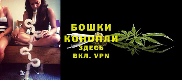 сатива Горно-Алтайск