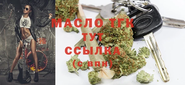 сатива Горно-Алтайск