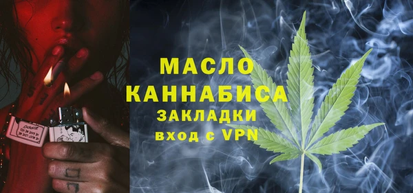гидропоника Горняк