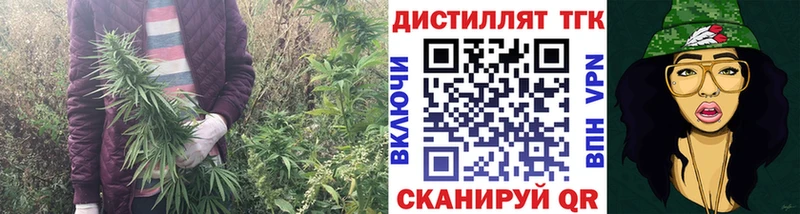 магазин продажи   Мценск  Дистиллят ТГК гашишное масло 