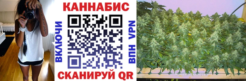 где найти   Мценск  Каннабис марихуана 